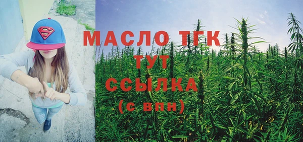 хмурый Верея