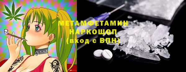 хмурый Верея