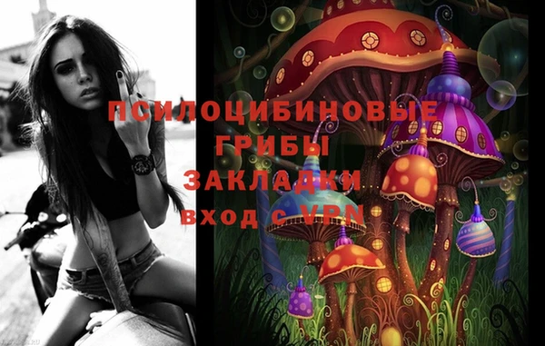 хмурый Верея