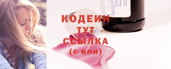 СК Верхний Тагил