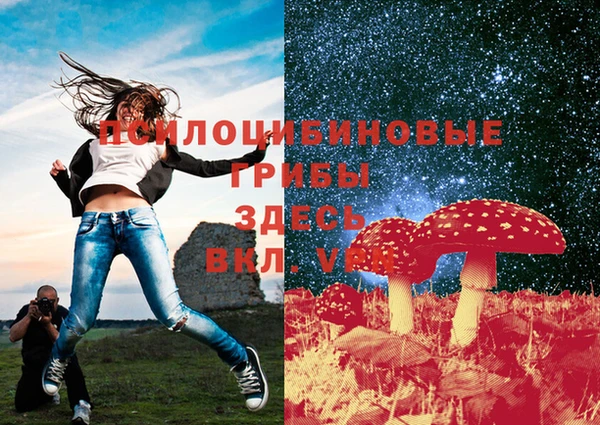 MDMA Premium VHQ Верхнеуральск