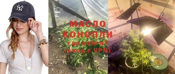 хмурый Верея