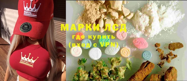 хмурый Верея