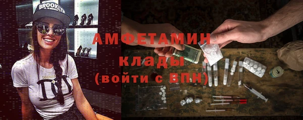хмурый Верея
