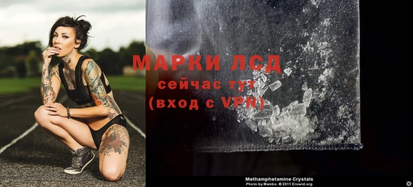 хмурый Верея