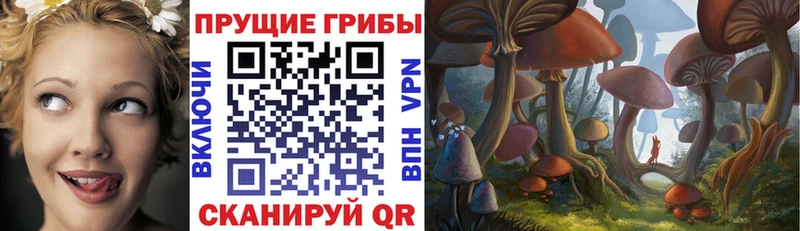 Псилоцибиновые грибы MAGIC MUSHROOMS  Голицыно 